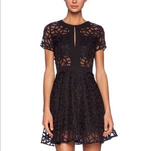 lucca couture sheer panel dress in black (medium)